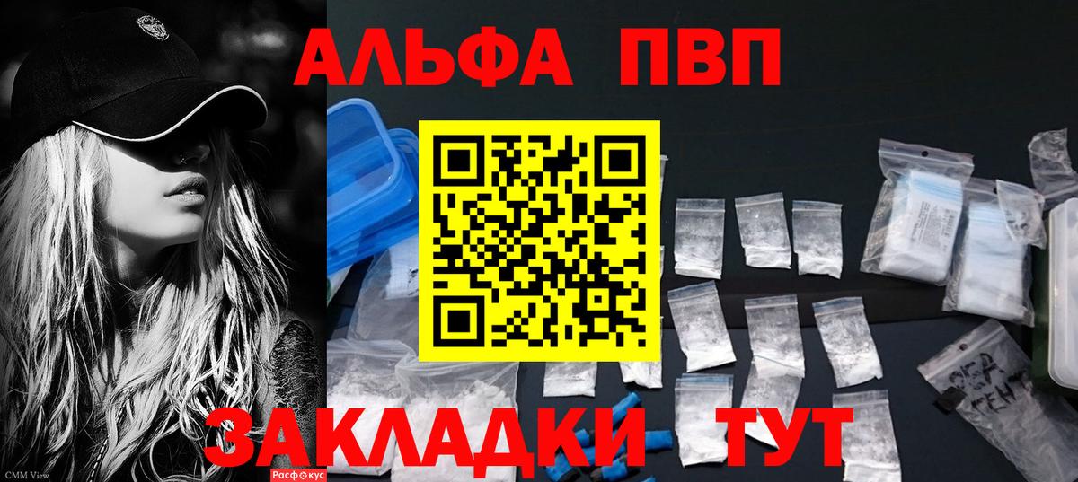 A PVP СК КРИС Волгодонск
