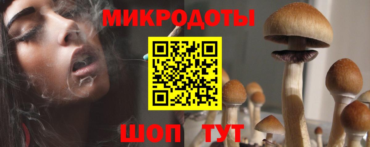 Галлюциногенные грибы GOLDEN TEACHER  Псилоцибиновые грибы мицелий  Вход с VPN  Волгодонск 